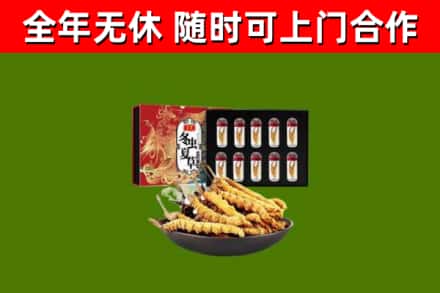 湛江市回收冬虫夏草价格